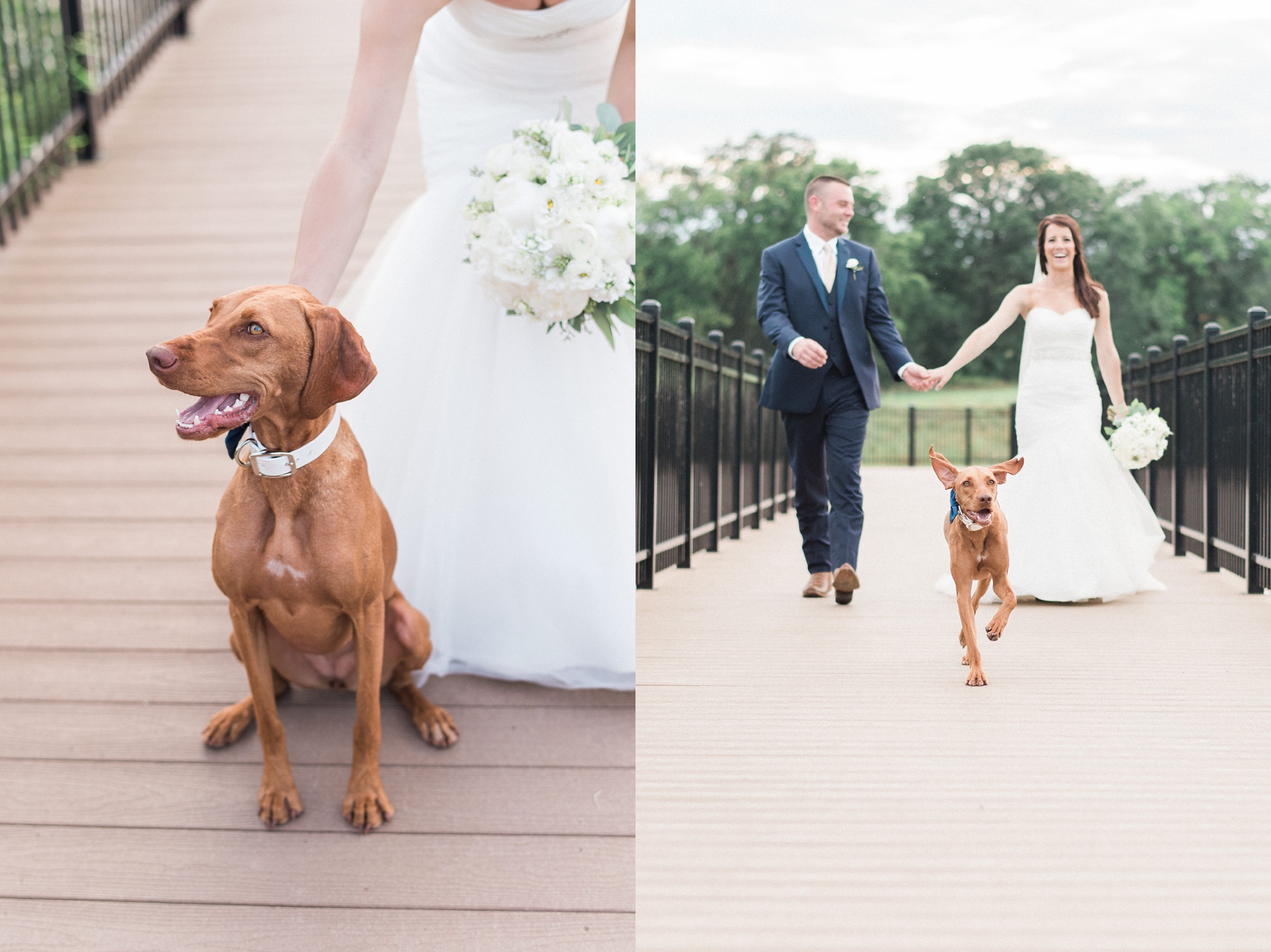 Missouri,Wedding Photographer,bridal session,bride and groom,dog,midwest weddings,st. charles,